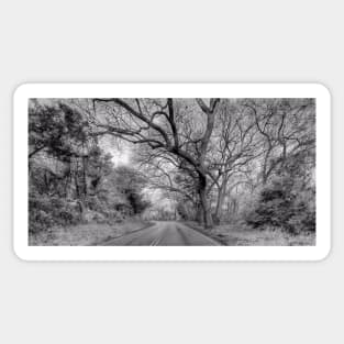 Hairy Man Road - Brushy Creek- Round Rock, Texas - Black and White Sticker